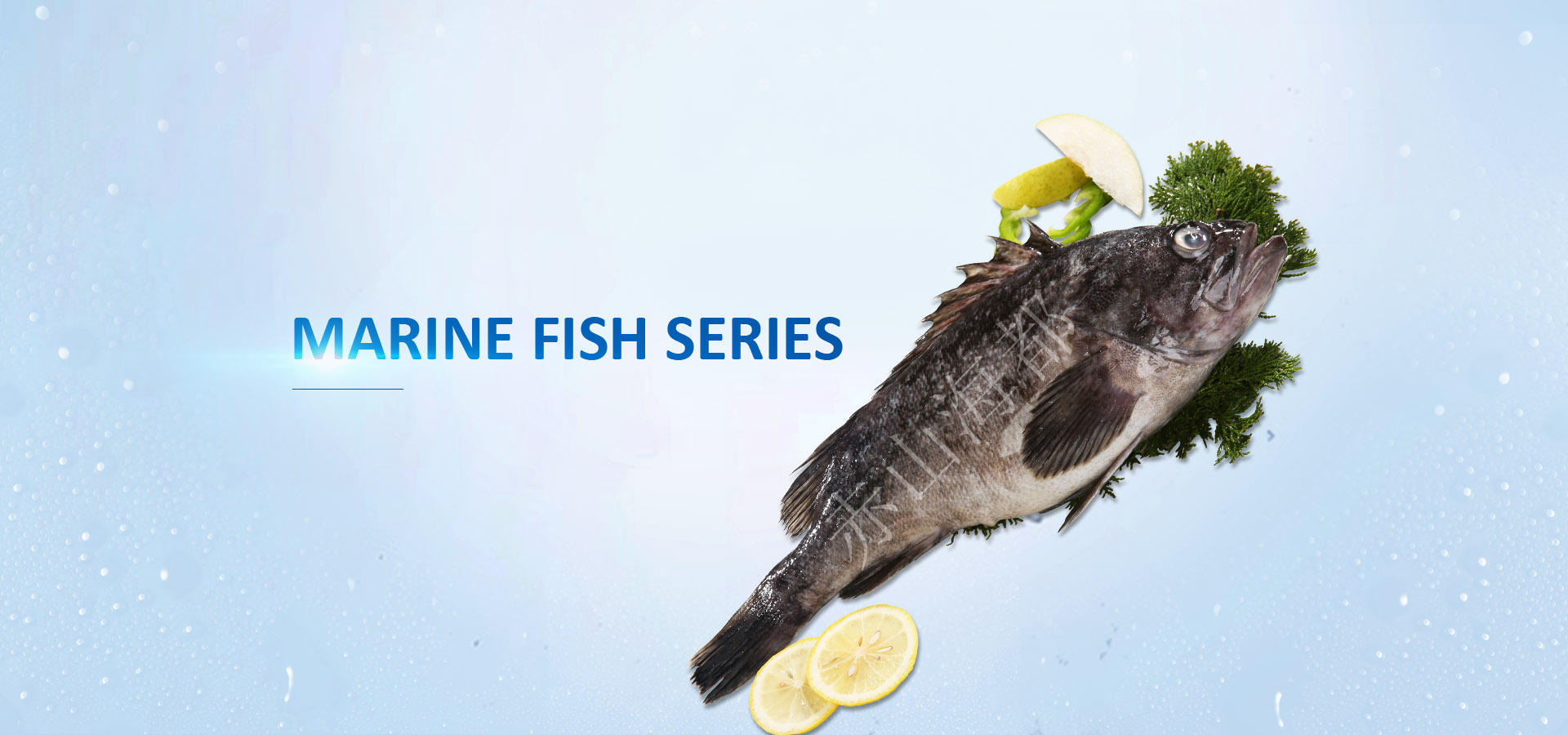 Raw fish series